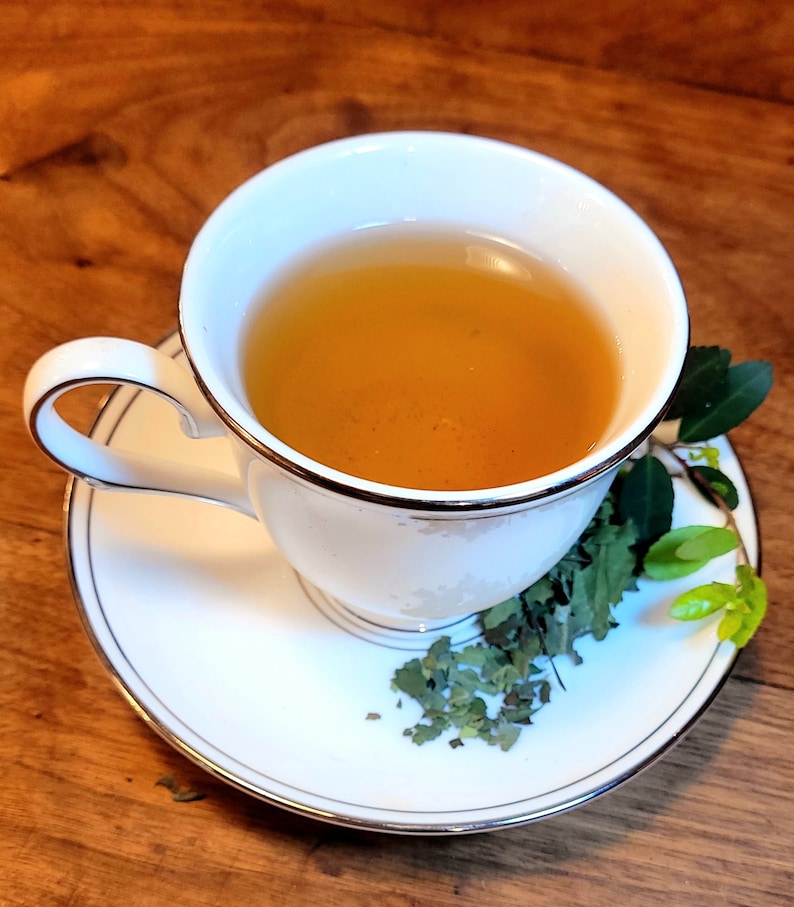 Native Yaupon Tea, Light Roast, in a white teacup